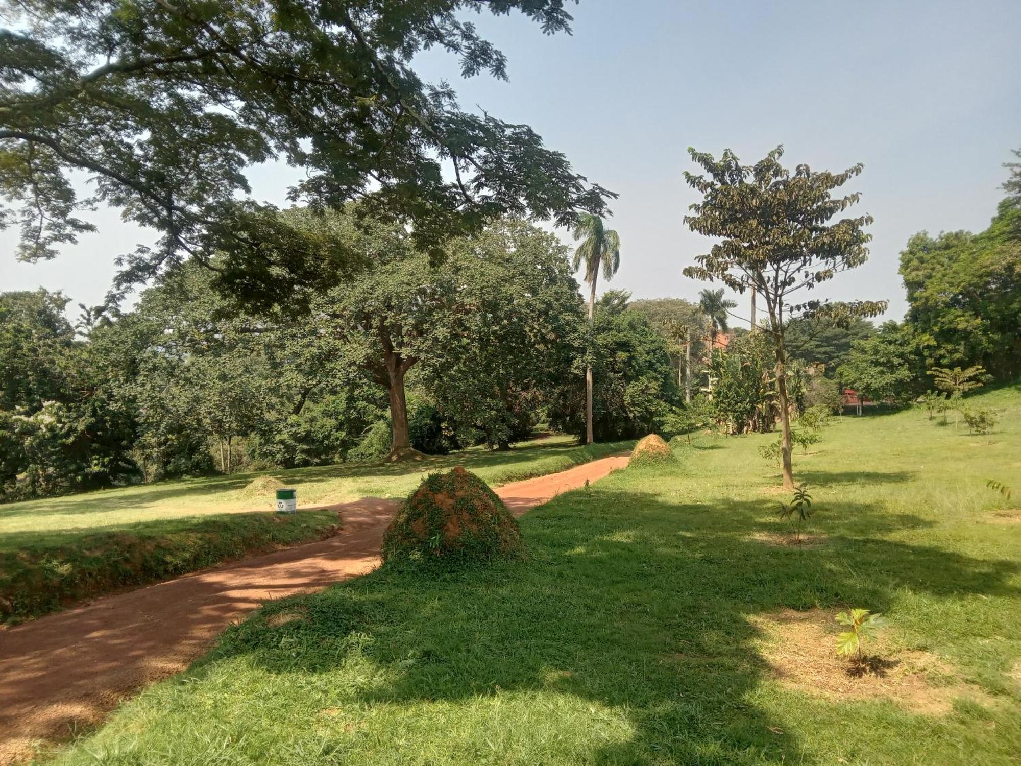 Mowicribs Hotel And Spa Entebbe Oda fotoğraf