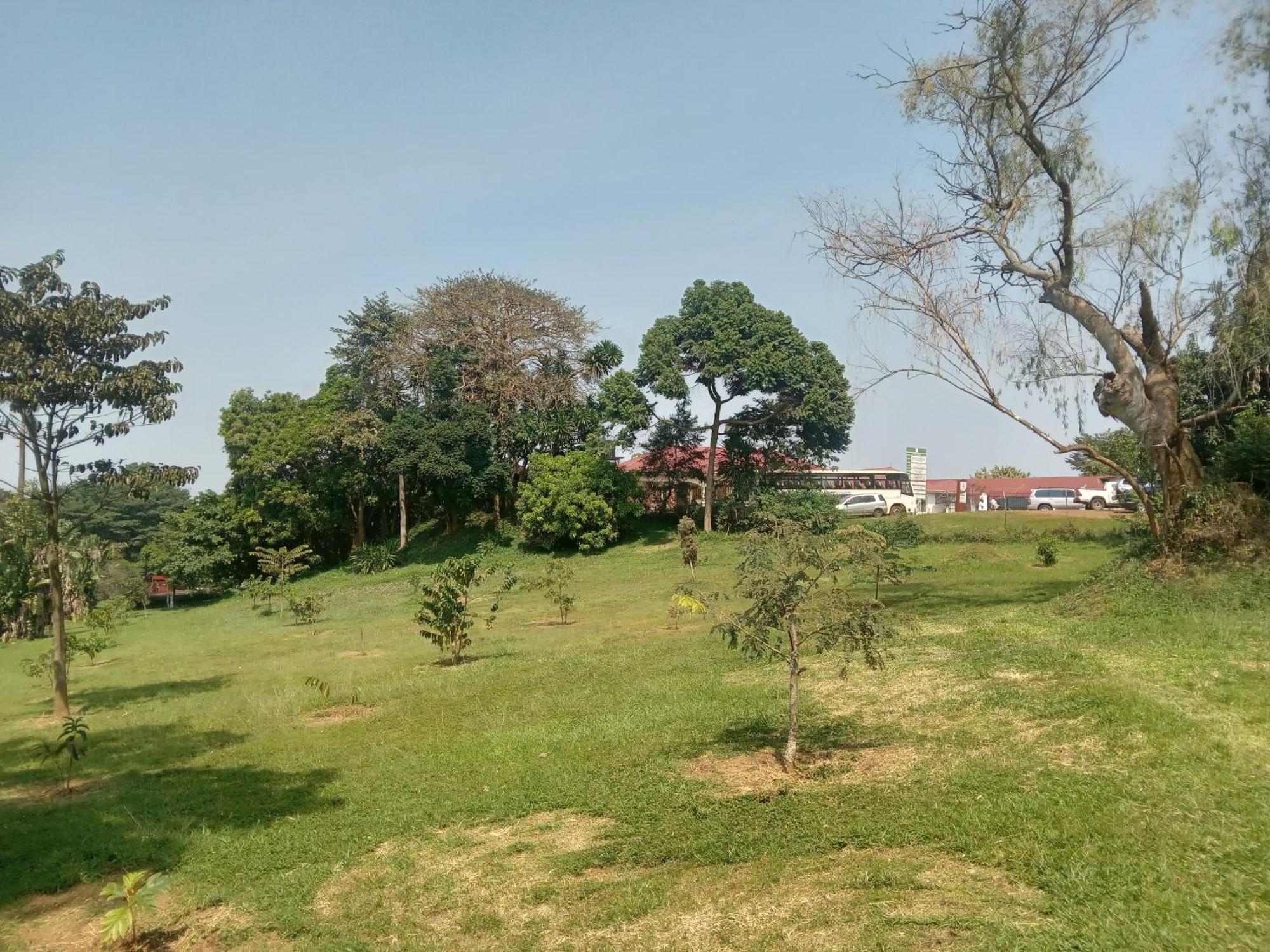 Mowicribs Hotel And Spa Entebbe Oda fotoğraf