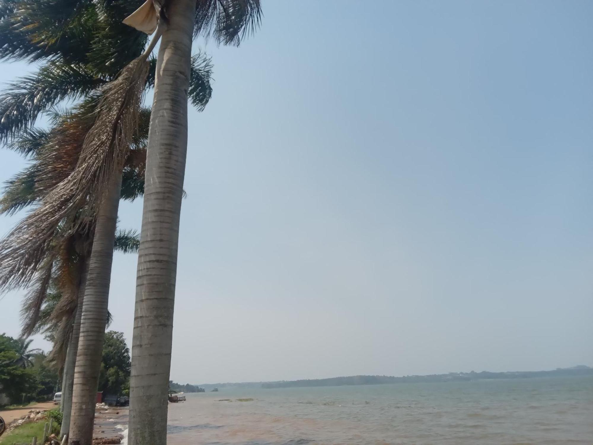 Mowicribs Hotel And Spa Entebbe Dış mekan fotoğraf